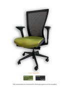 SILLA BRAZO AJUSTABLE (CH5721KSMF-F429P/F796E)