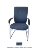 SILLA CANTILEVER (CH7930KF-F7792D)